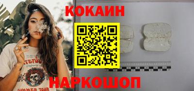 индика Кингисепп