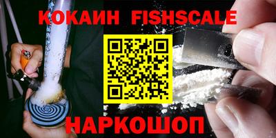 индика Кингисепп
