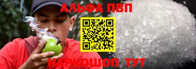 индика Кингисепп