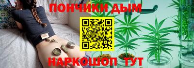 индика Кингисепп