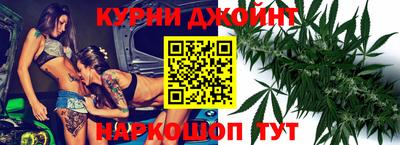 индика Кингисепп