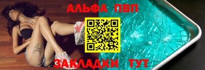 индика Кингисепп