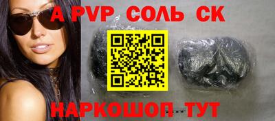 индика Кингисепп