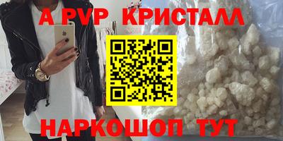 индика Кингисепп