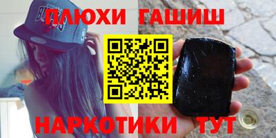 индика Кингисепп