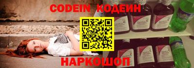 индика Кингисепп